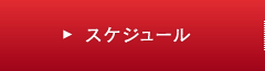 スケジュール