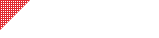 スケジュール